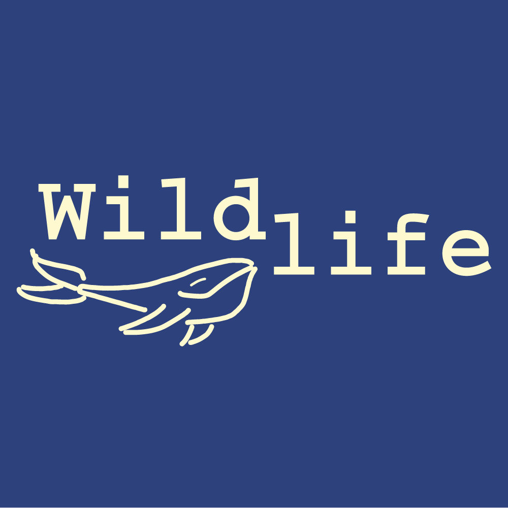 Wildlife